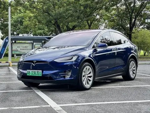 Tesla Model X 2019