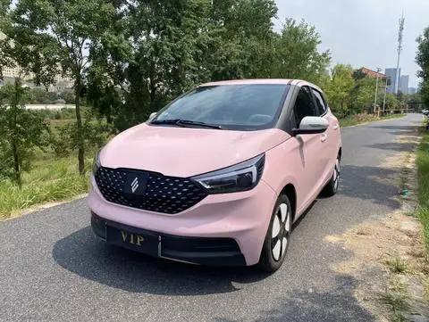 Jiangling 易至EV3 2024