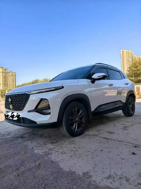 Baojun RS-3 2019