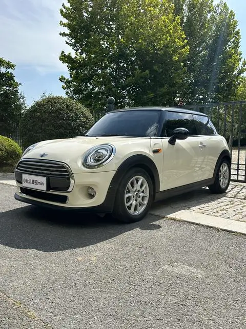 MINI MINI 2014