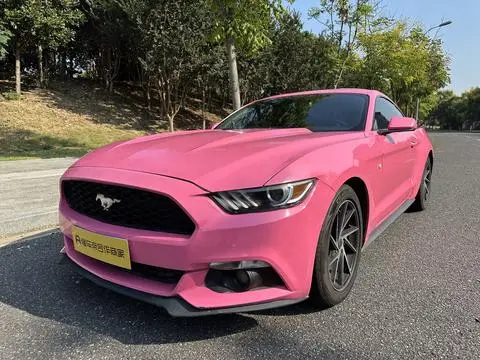 Ford Mustang 2017 — фото 1