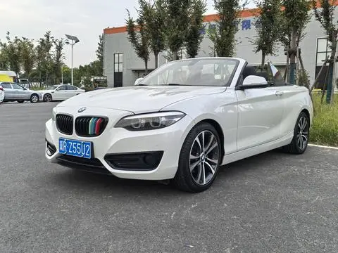 BMW 2 Series 2019