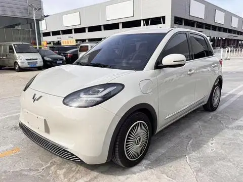Wuling Bingo 2024