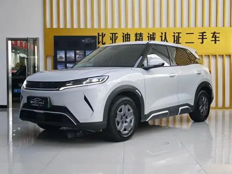 BYD 元UP 2025
