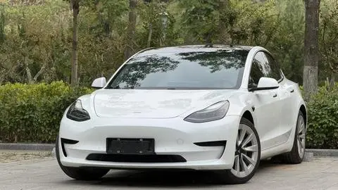 Tesla Model 3 2021 — фото 1