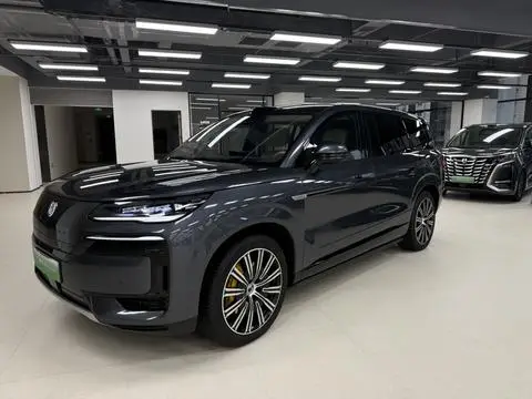 Denza N9 DM 2025