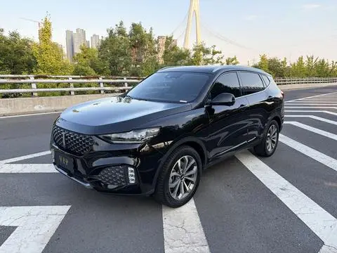 Wey VV6 2020