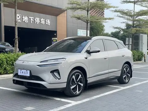 BYD 海狮06EV 2025