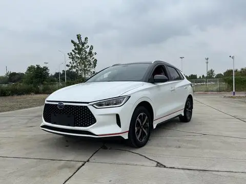 BYD e2 2021