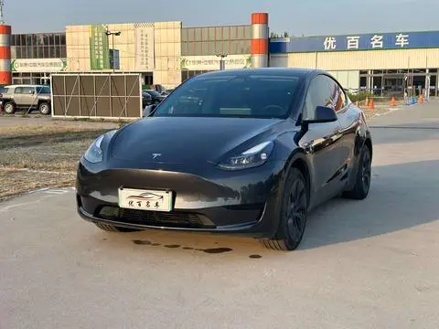 Tesla Model Y 2024 — фото 1