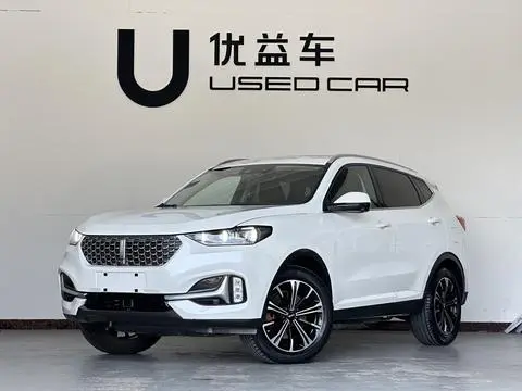 Wey VV6 2021
