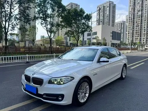BMW 5 Series 2014 — фото 1