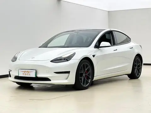 Tesla Model 3 2021 — фото 1