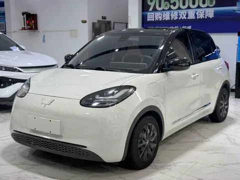 Wuling Bingo 2023