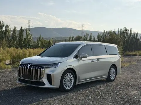 Voyah 梦想家 PHEV 2024