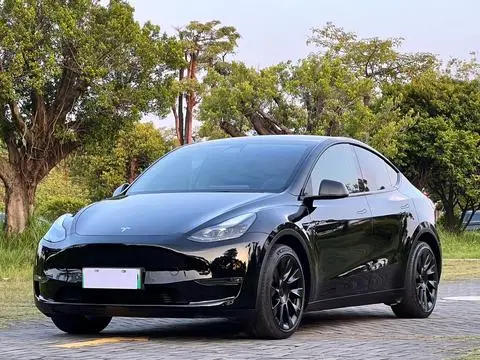 Tesla Model Y 2021 — фото 1