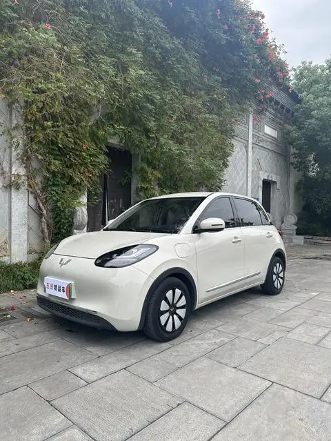 Wuling Bingo 2023
