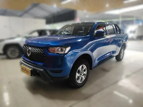 Great Wall 炮 2021