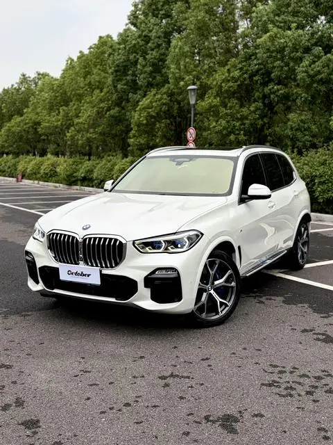 BMW X5 2019
