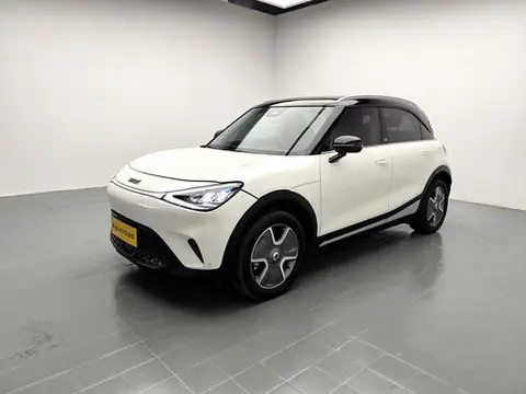 smart 精灵#1 2024