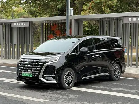 Denza D9 DM 2024