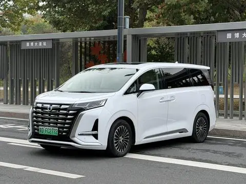 Denza D9 DM 2024