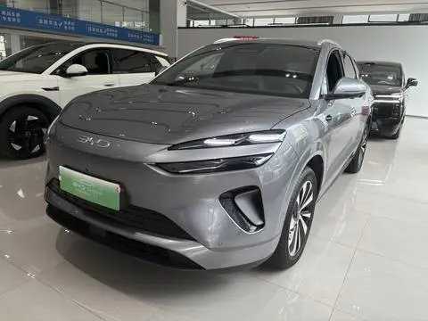 BYD 海狮06EV 2025