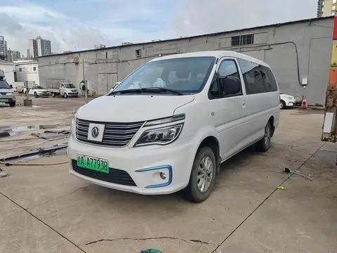 Forthing Lingzhi新能源 2020