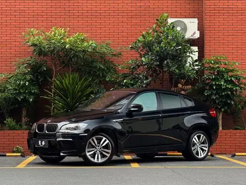 BMW X6 M 2010