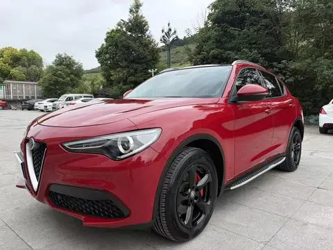 Alfa Romeo Stelvio斯坦维 2017 — фото 1