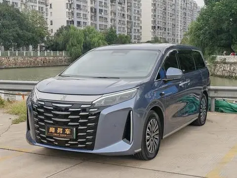 BYD 夏 2025