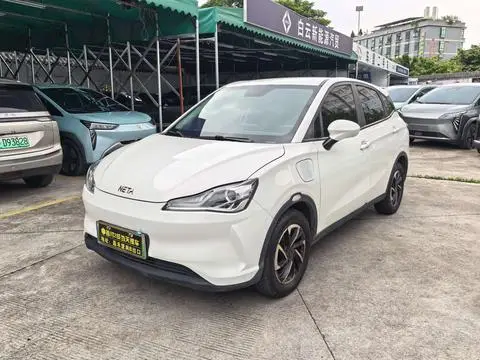 NETA V 2021