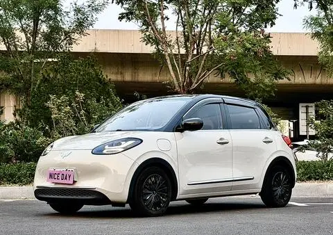 Wuling Bingo 2024