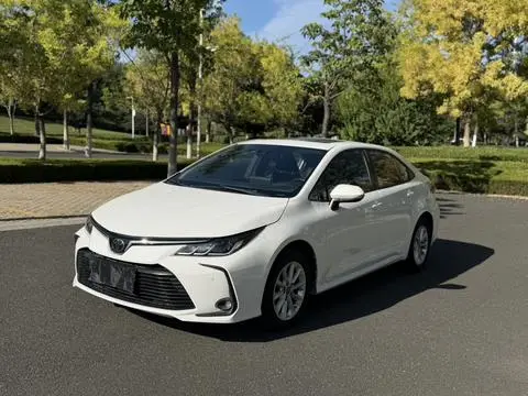 Toyota Corolla 2019 — фото 1