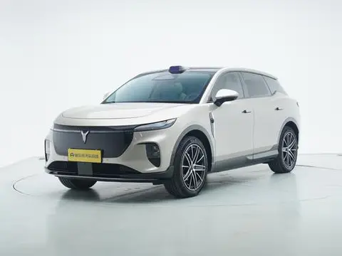 Voyah 知音 2025