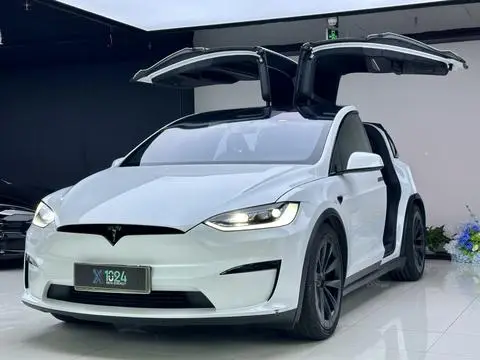 Tesla Model X 2023
