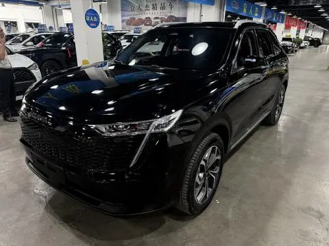 Haval 枭龙MAX 2023