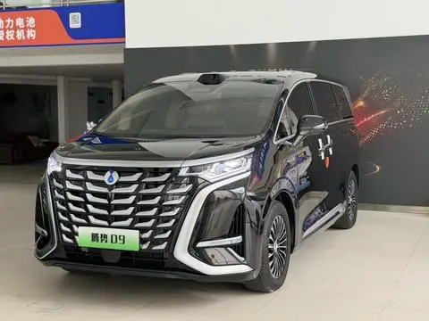 Denza D9 DM 2025