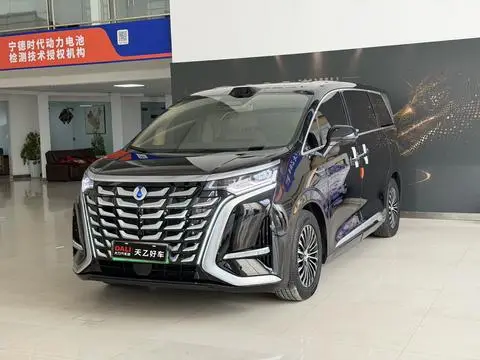 Denza D9 DM 2025
