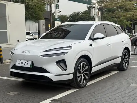 BYD 海狮06EV 2025