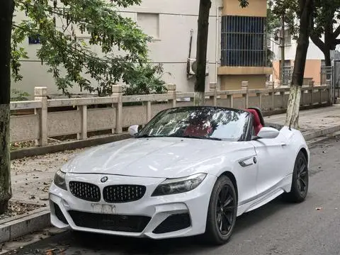 BMW Z4 2009