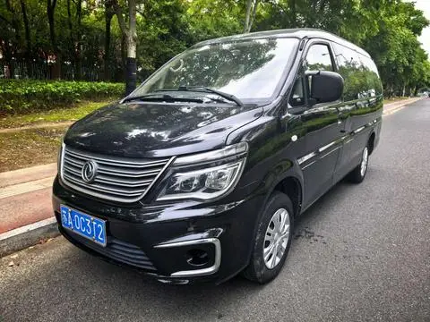 Forthing Lingzhi 2019
