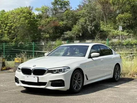 BMW 5 Series 2019