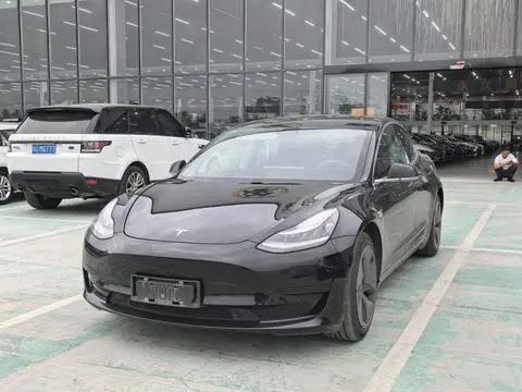 Tesla Model 3 2020