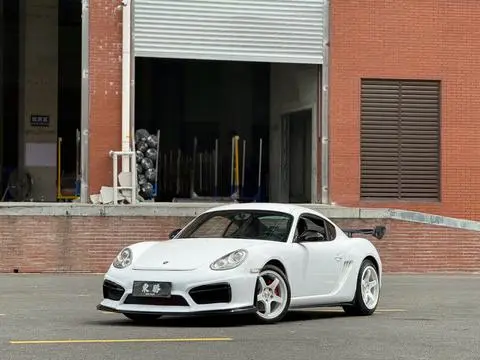Porsche Cayman 2009