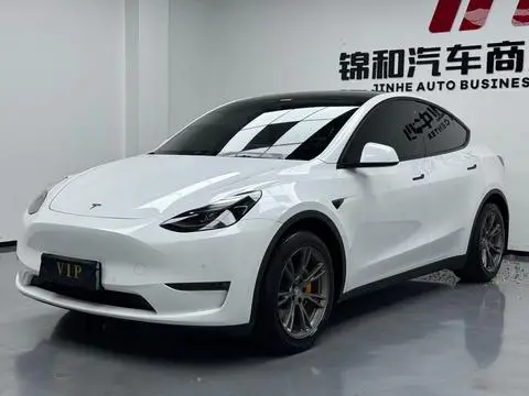 Tesla Model Y 2021 — фото 1