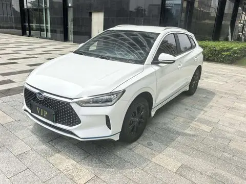 BYD e2 2019