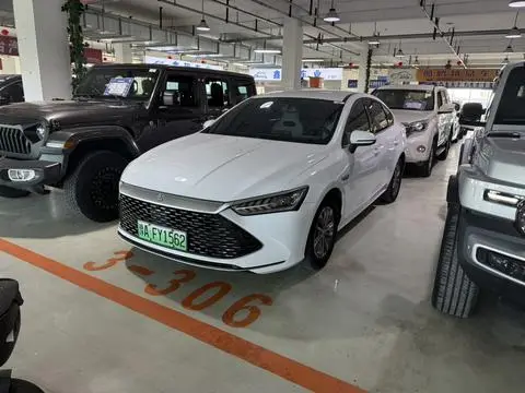 BYD 秦PLUS DM 2024
