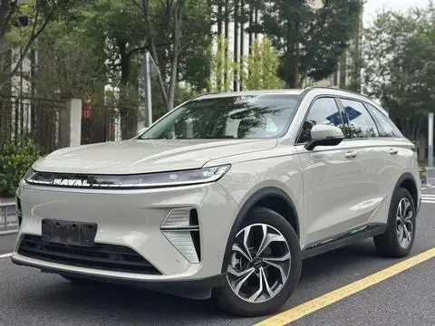 Haval 枭龙MAX 2025