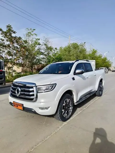Great Wall 炮 2021